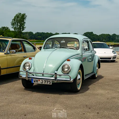 2025 Cars For A Cause photo 147